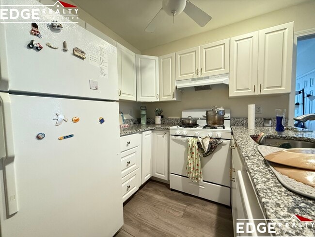 Building Photo - 62 Egmont St