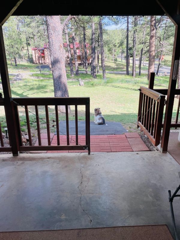 Foto del edificio - 213 White Mountain Meadows Dr