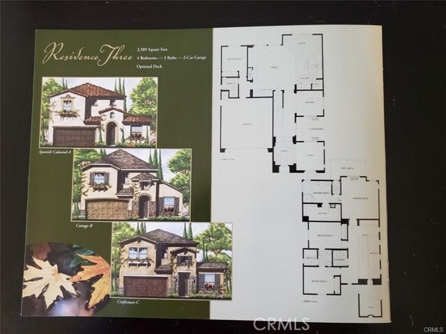 Foto del edificio - 31253 Mangrove Dr