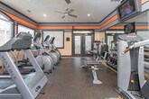This fitness center is a thoughtfully designed workout facility that combines functionality with a motivating aesthetic. The interior is characterized by a bold color scheme featuring a prominent orange horizontal stripe accented by gray and beige tones along the upper walls, creating an energizing atmosphere throughout the space.

The room is outfitted with rubber flooring that provides durability and safety underfoot. Recessed lighting and a ceiling fan ensure the space remains well-lit and comfortable during workouts. Multiple large windows fitted with blinds line the walls, flooding the interior with natural light while offering views of an outdoor pool area and surrounding greenery.

Cardio equipment is a central focus of the facility, with a row of Matrix-brand treadmills and elliptical trainers positioned to take advantage of the outdoor views. Additional strength and cross-training machines are arranged throughout the space, complemented by a well-stocked dumbbell rack with a full range of free weights and an adjacent weight bench. A wall-mounted television provides entertainment during workouts.

Entry is provided through elegant frosted glass double doors, and a mirrored wall along one side enhances the sense of openness. The overall layout is organized and spacious, allowing users to move freely between cardio, strength, and stretching areas with ease.