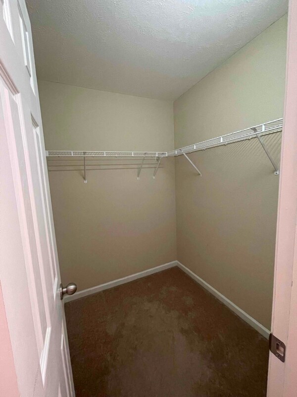 Foto del edificio - 3138 Shaylin Crossing