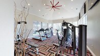 This fitness center offers a thoughtfully designed workout environment that combines functionality with an inviting aesthetic. The space features a vaulted ceiling with elegant crown molding, finished in crisp white and fitted with recessed lighting that ensures even illumination throughout. A bold, oversized red ceiling fan serves as a striking focal point, adding a distinctive design element while providing effective air circulation.

Large windows line the walls, flooding the interior with generous natural light and offering views of the surrounding outdoor greenery, creating an open and energizing atmosphere. The flooring features a vibrant, multicolored patterned carpet in rich tones of red, orange, blue, and black, adding visual interest and warmth to the space.

The fitness center is well-stocked with a range of equipment, including multiple treadmills and elliptical machines arranged to face the windows, along with a multi-station cable and strength training system. Free weights and benches are also available, catering to a variety of workout preferences. Decorative branches in the corner add a subtle organic touch to the overall design.