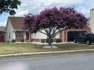 Building Photo - 229 Derosa Dr