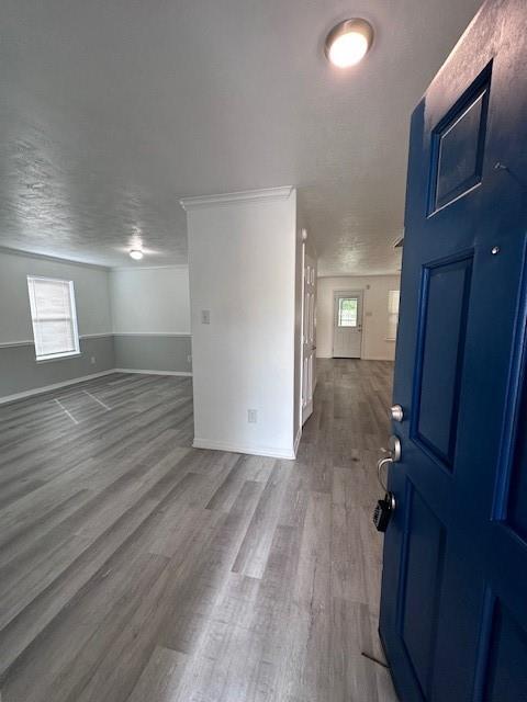 Foto del edificio - 25119 Pepper Ridge Ln