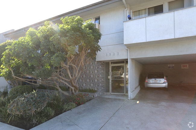 Jasmine Apartments - 3525 Jasmine Ave
