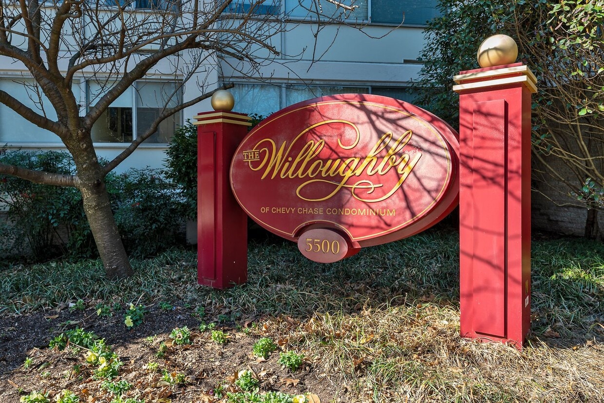 Primary Photo - Sunny Renovated Studio w/Utilities Include...