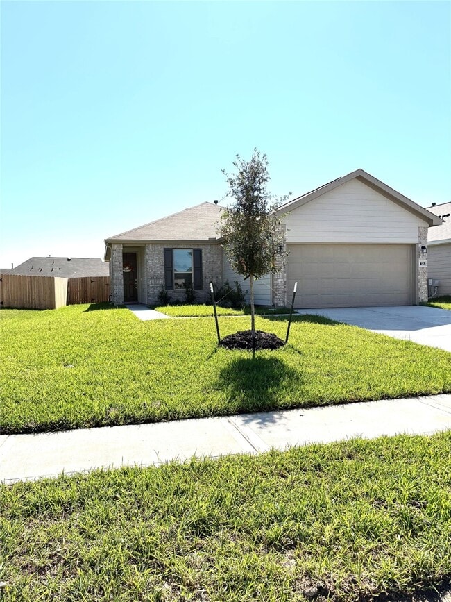 Building Photo - 817 Imperial Lp