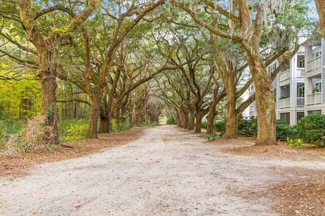 Building Photo - Spacious Two Bedroom Johns Island Condo