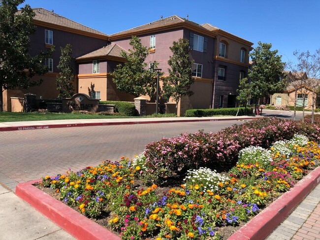 Outside the Complex - 2001 Club Center Dr