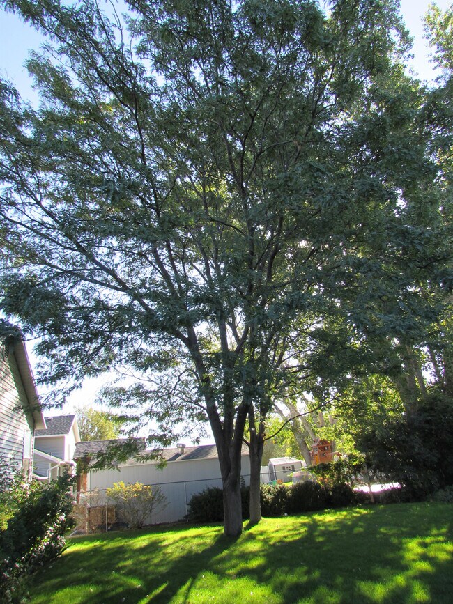 Foto del edificio - 1879 Town Meadows Ct