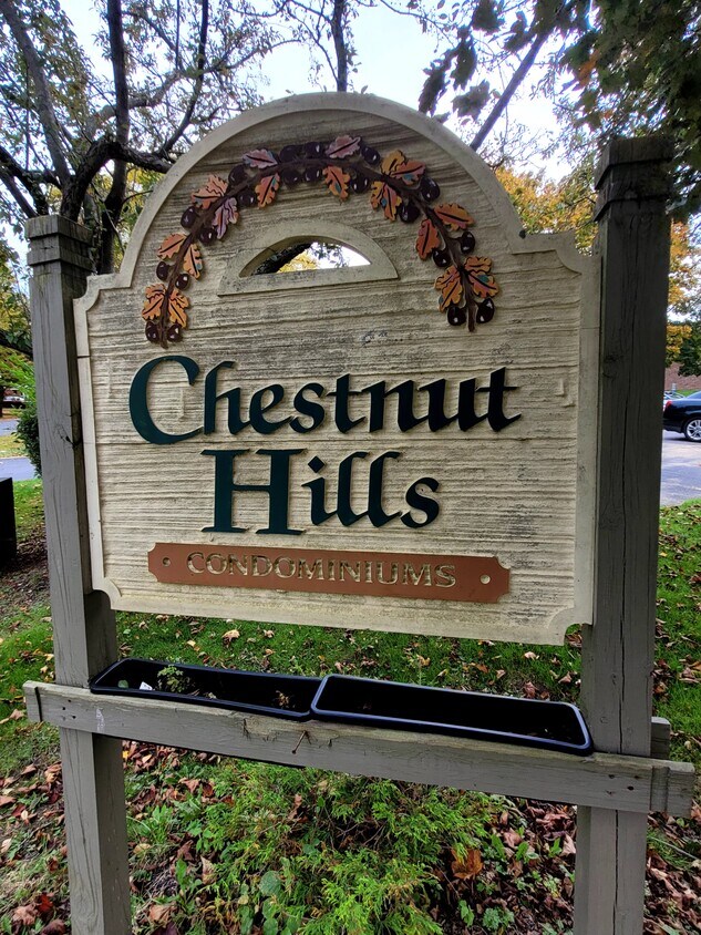 Primary Photo - 10 Chestnut Hls