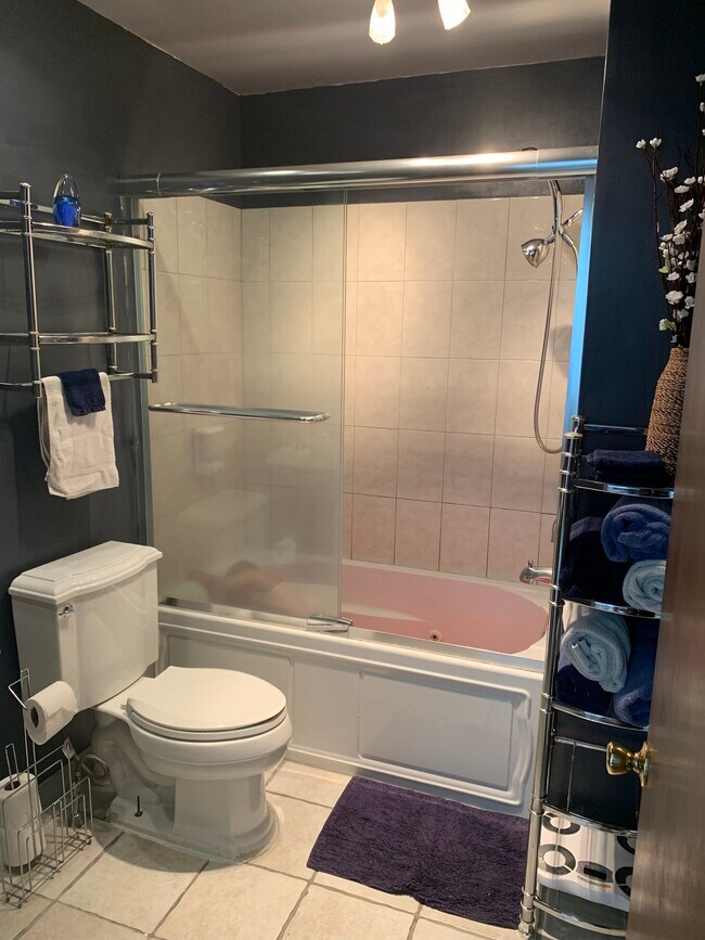 Baño principal - 49 Winged Foot Dr.