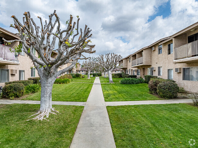 Colima Terrace Grounds - Colima Terrace Apts