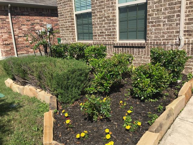 Foto del edificio - 620 Calliopsis St