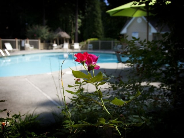 brighton way apartments smyrna ga apartments com