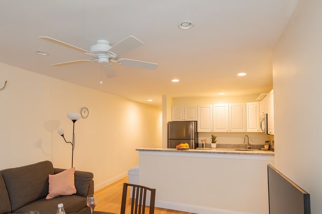 Building Photo - 56 Egmont St