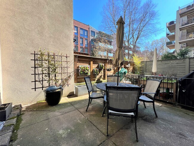 Yard - 129 Willow Ave