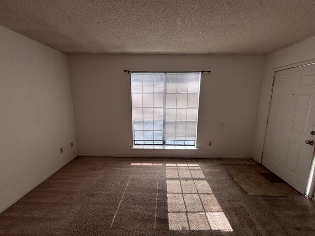 Foto del edificio - 114 Hummingbird Ln