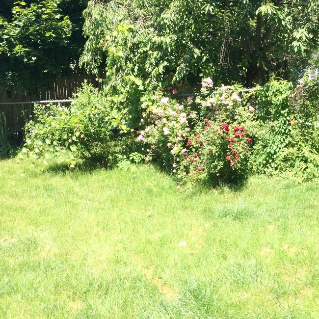 Building Photo - 38 Hayden St