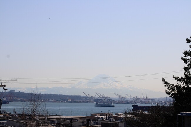 Deck view - 2325 W Crockett St