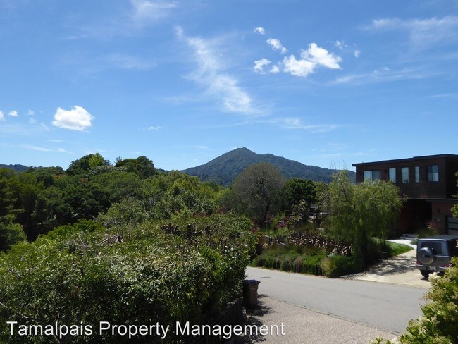 Building Photo - 4 br, 3.5 bath House - 320 Vista Grande