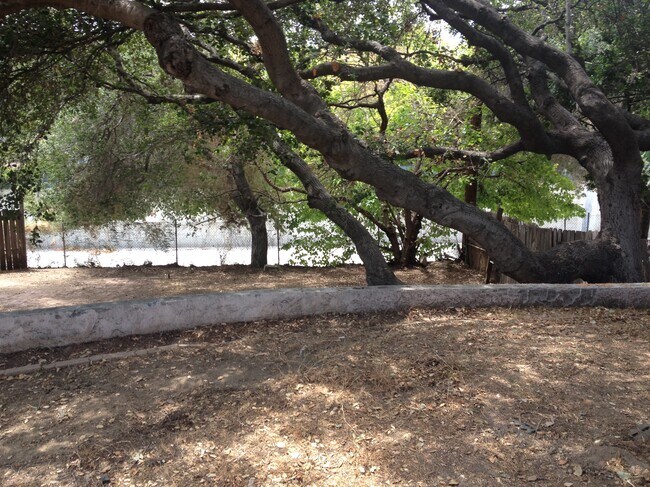 Backyard - 1827 N Verdugo Rd
