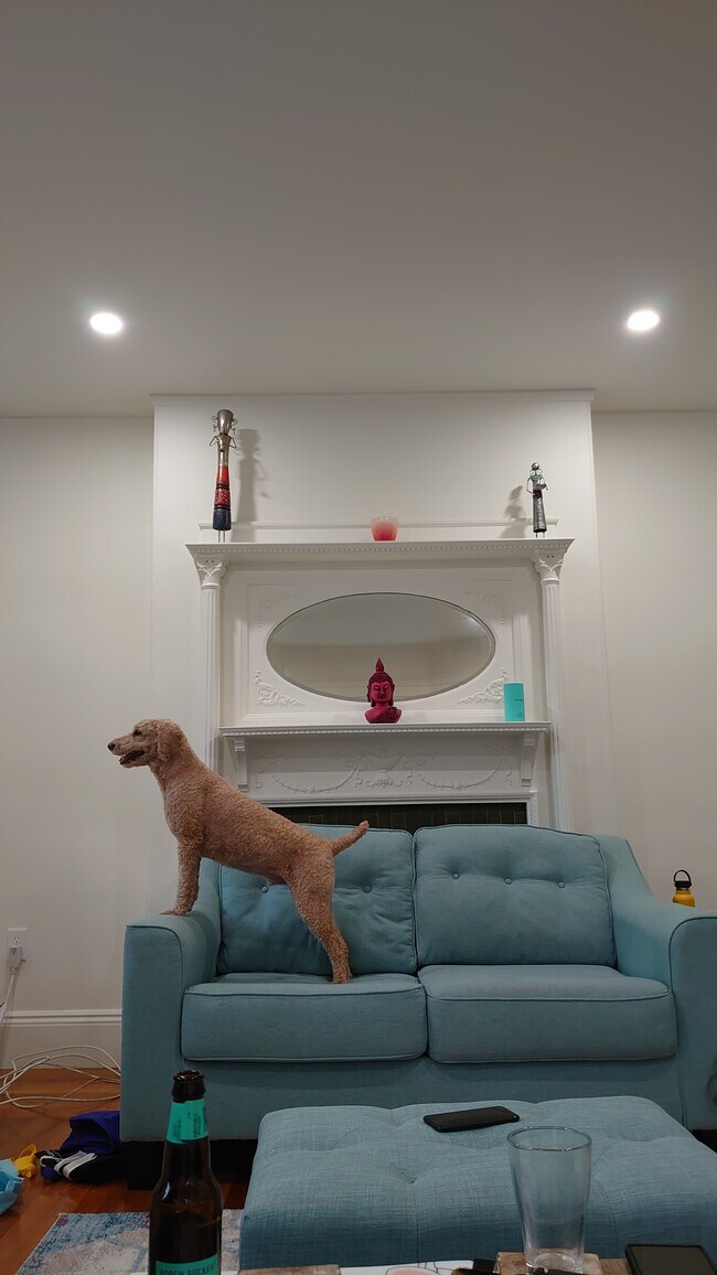 New wall paint - 1 Regent Cir