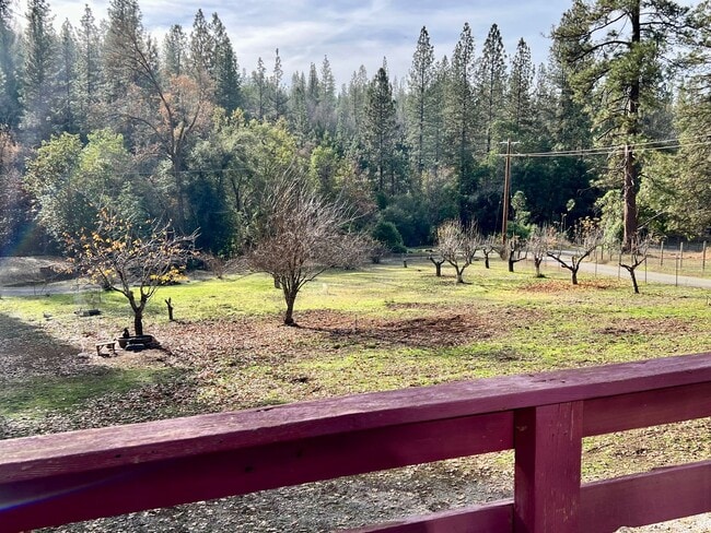 Building Photo - Pine Grove Guest House for rent