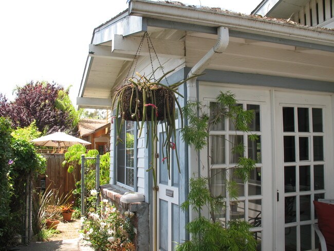 Building Photo - 1515 Cabrillo Ave