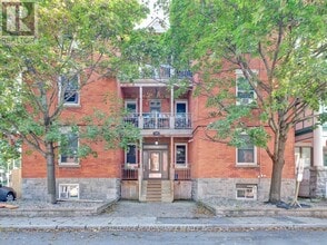 Building Photo - 342 Frank St