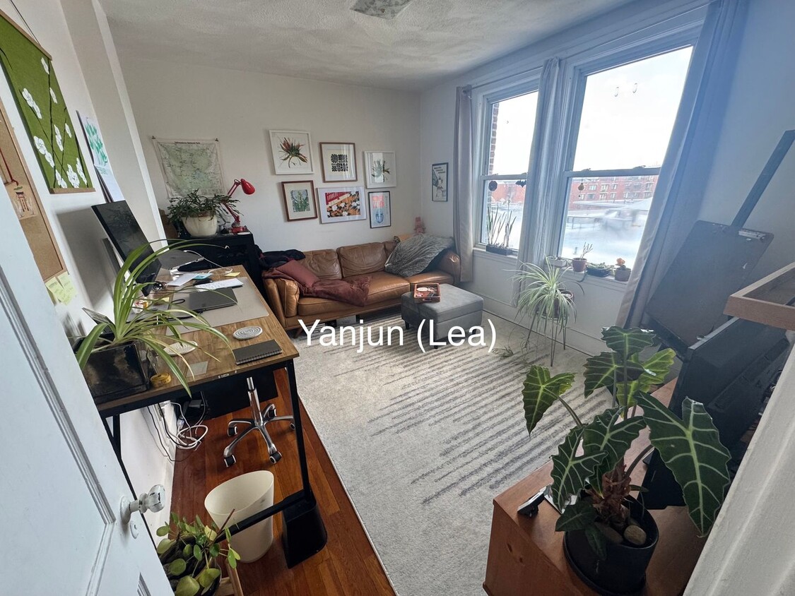 Primary Photo - JUNE Allston Charming 1bed split! - Studen...