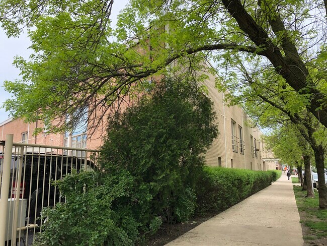 Foto del edificio - 1100 W Cornelia Ave