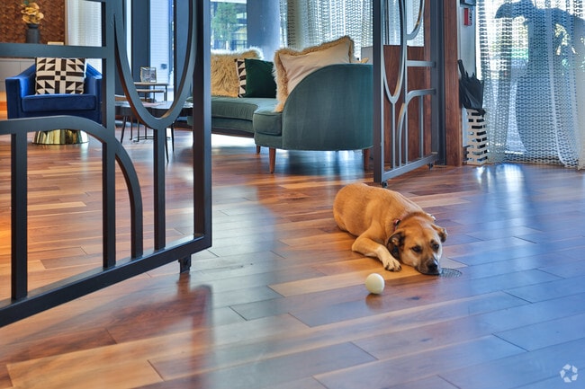 Emerson at Montford Park photo'