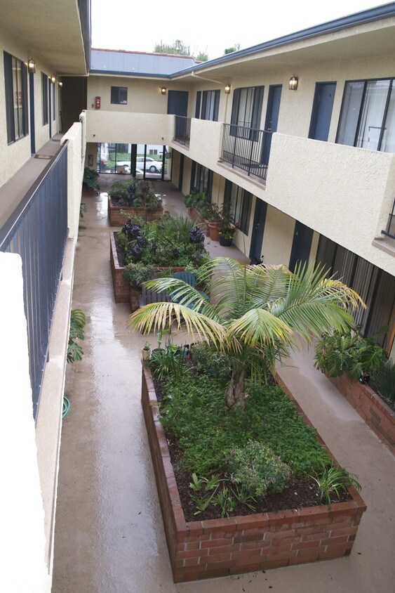 3414 Jasmine Ave, Los Angeles, CA 90034 Apartments in Los Angeles, CA