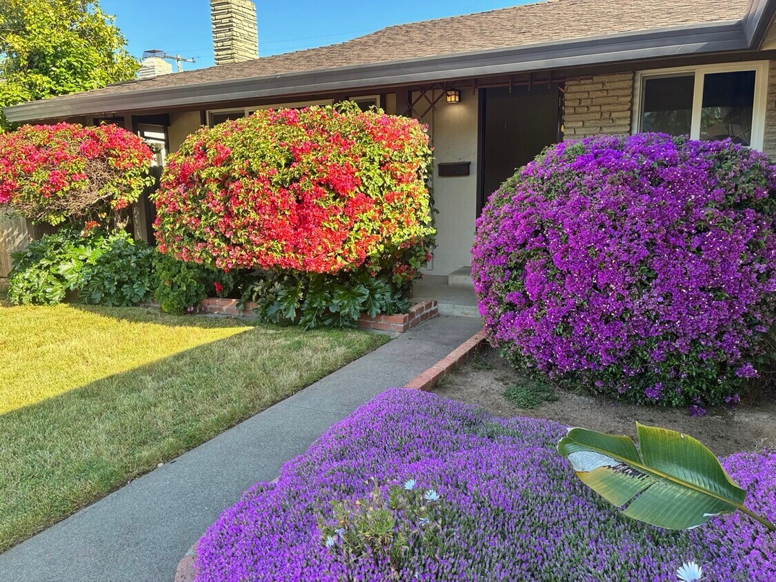 Foto principal - 3236 Rosemont Dr