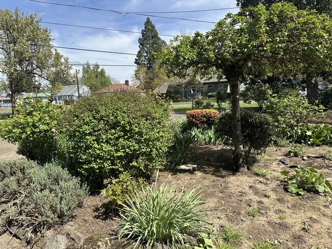 Foto del edificio - 795 E College St