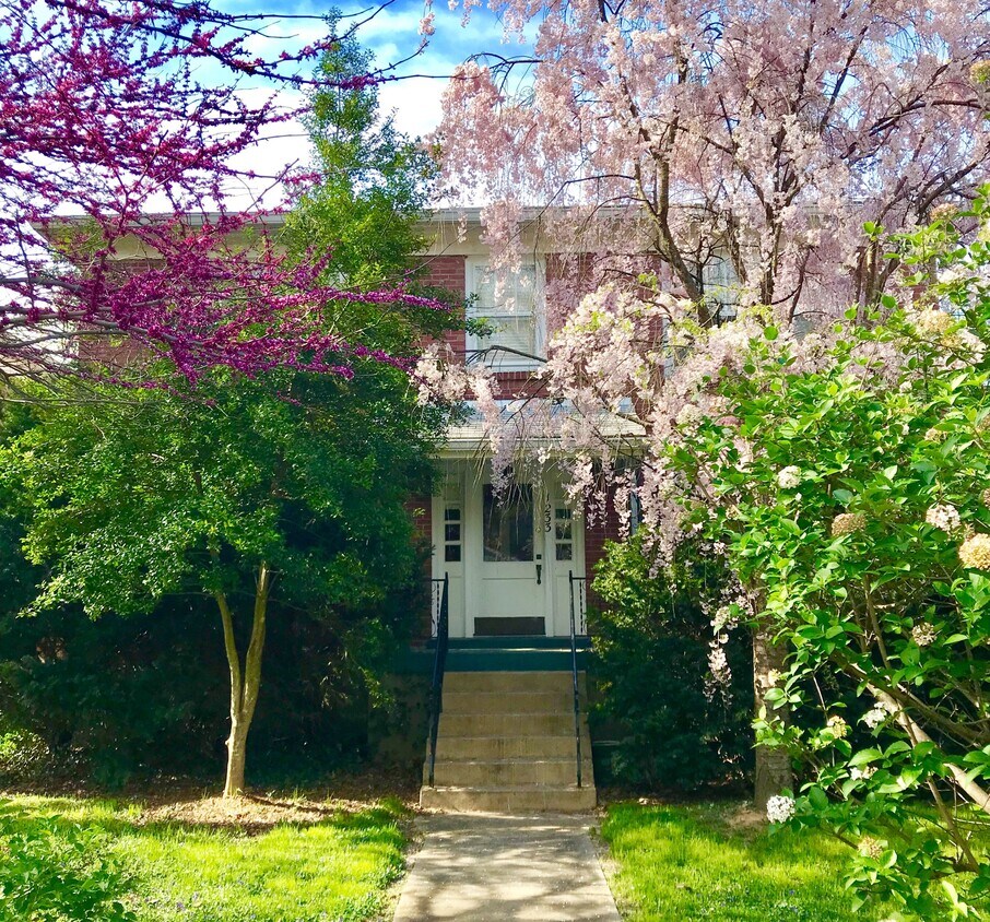 Foto principal - 1233 Bates Ct