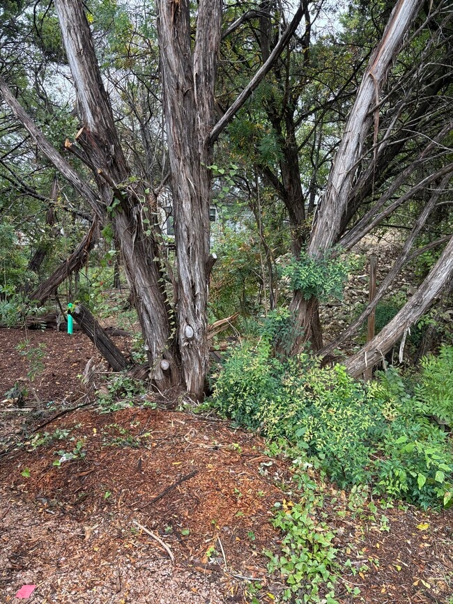 Foto del edificio - 7214 Comstock Cove