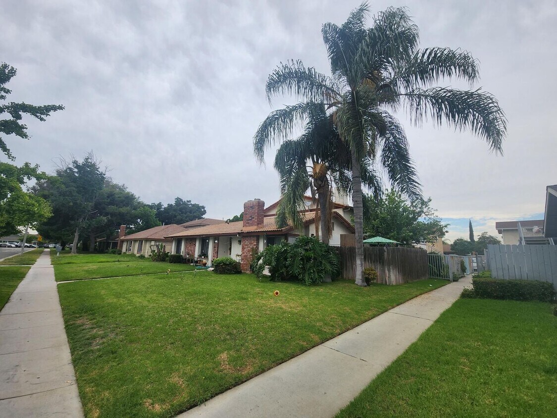 Primary Photo - TERRACE2539