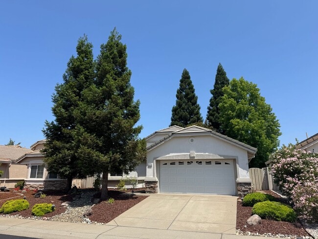 Building Photo - DEL WEBB 55+ COMMUNITY SINGLE STORY 2 BED,...