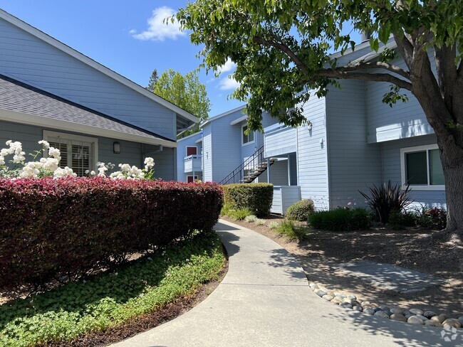 1155 Aster Ave Sunnyvale Ca 94086 Apartments for Rent in Sunnyvale CA - Updated Today