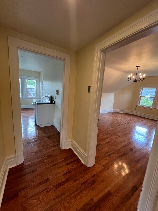 Kitchen/Living room - 926 Savannah Ave