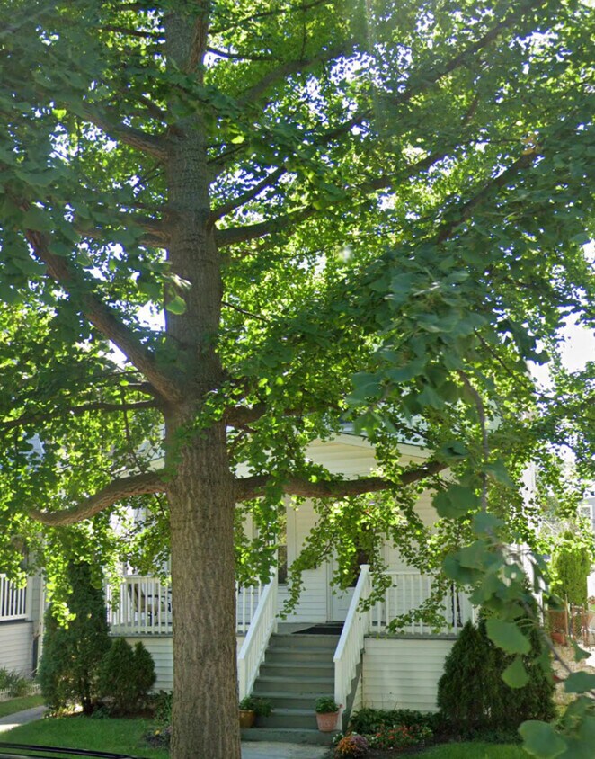 5511 W Farragut Ave Unit 2, Chicago, IL 60630 5511 W Farragut Ave