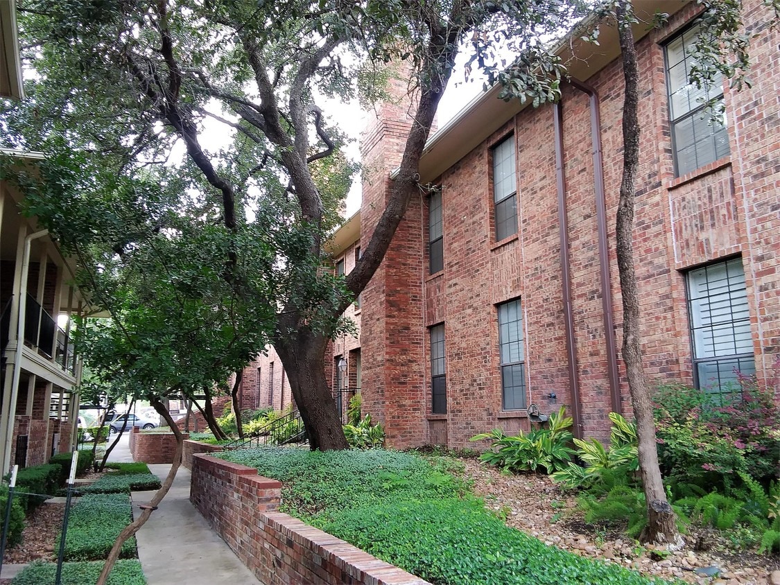 201 Ellwood St, Alamo Heights, TX 78209 Townhome Rentals in Alamo