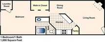 1 Bedroom 1 Bath Flat