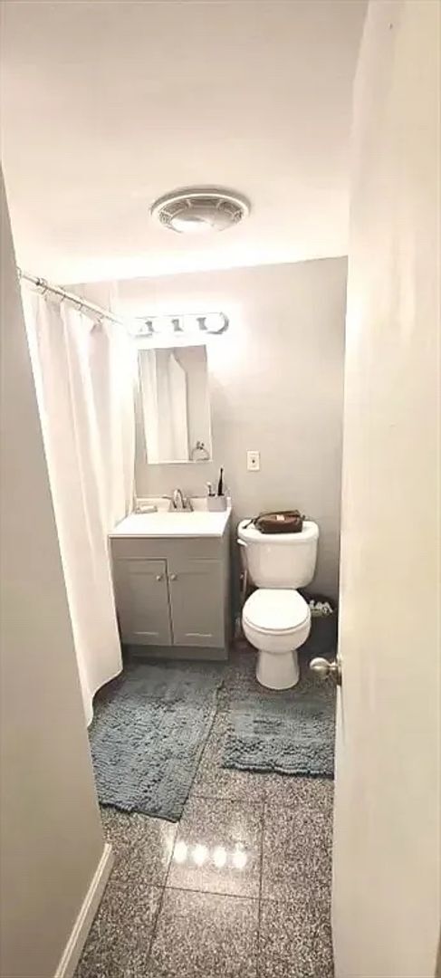 Foto del edificio - Sunny Coolidge Corner 1bed Avail JULY 1 ri...