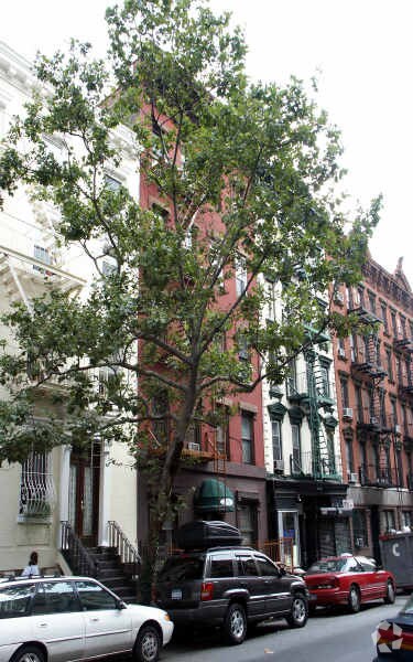Foto del edificio - 333 E 6th St