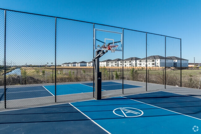Basketball Court - The Alexander