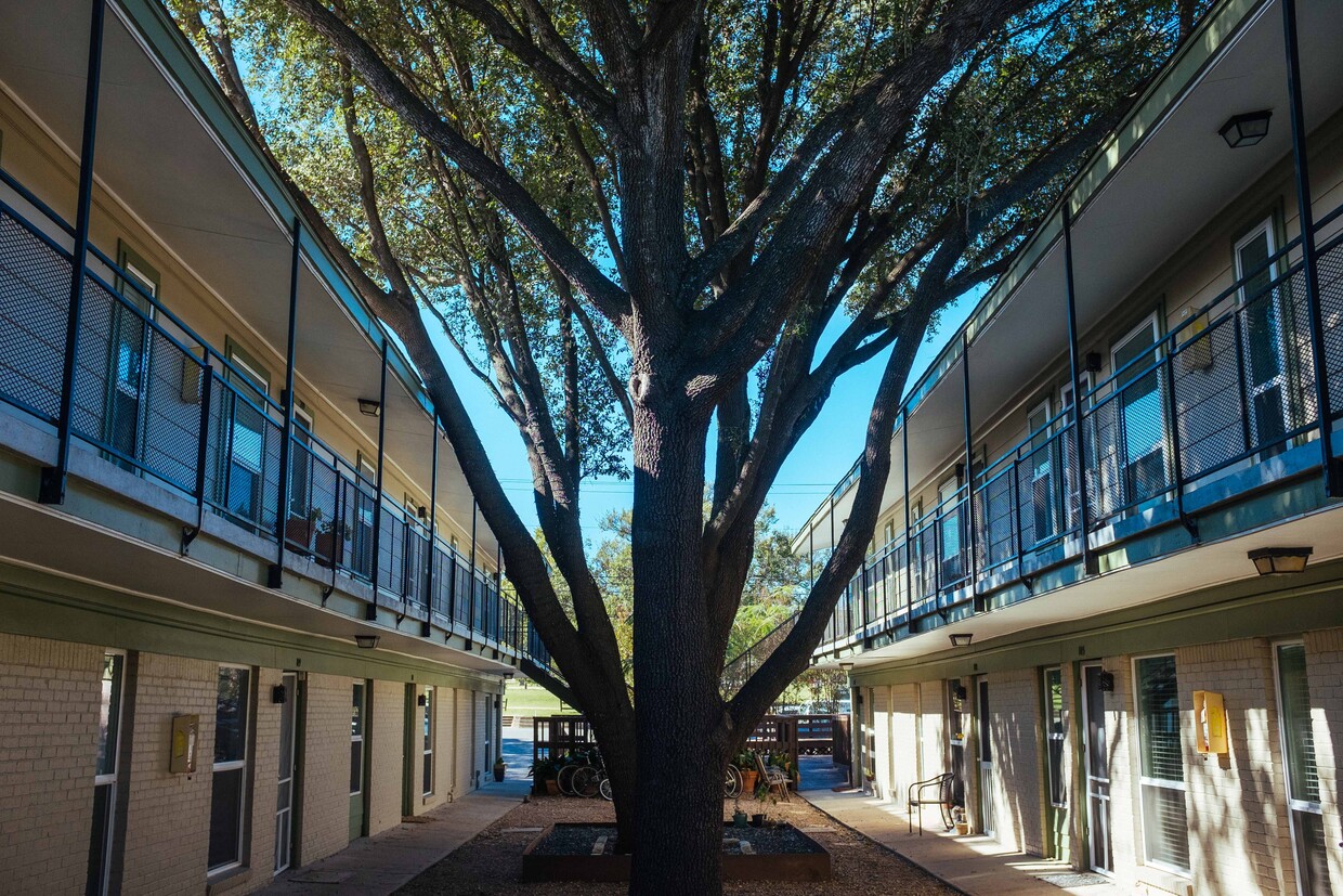 Tree-shaded courtyard - 2021 Bluebonnet Ln.