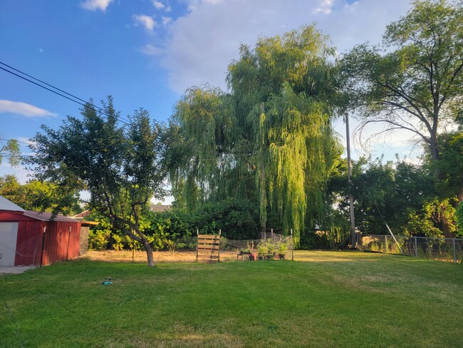 Large private yard (fenced) with shed out back. Plenty of space for gardening. - 542 W 400 N